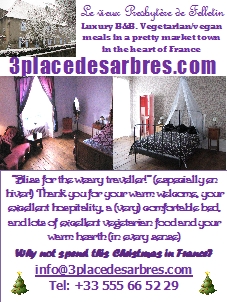 3 Place des Arbres, a vegetarian Christmas